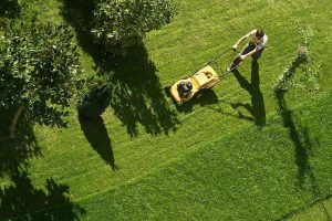 Top-Rated Lawn Care Eagan Experts Keeping Lawns Green and Clean