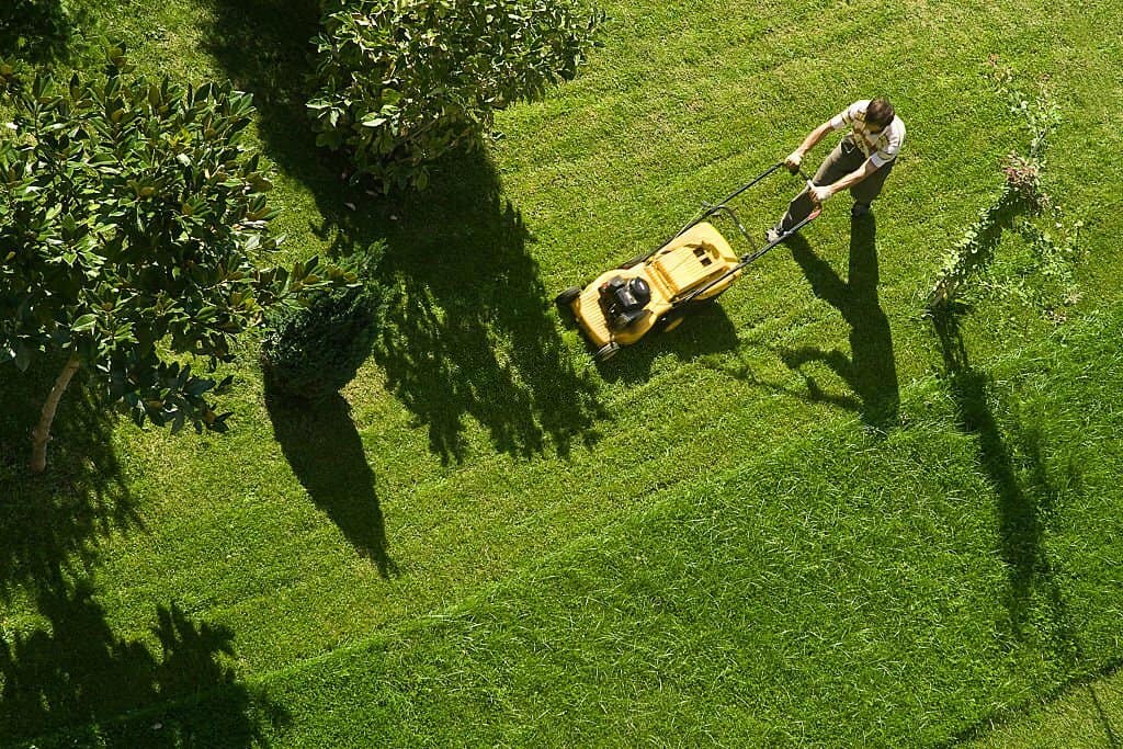 Top-Rated Lawn Care Eagan Experts Keeping Lawns Green and Clean